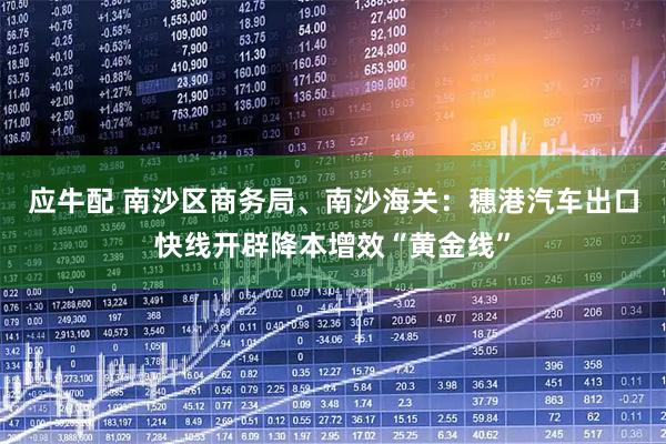 应牛配 南沙区商务局、南沙海关：穗港汽车出口快线开辟降本增效“黄金线”